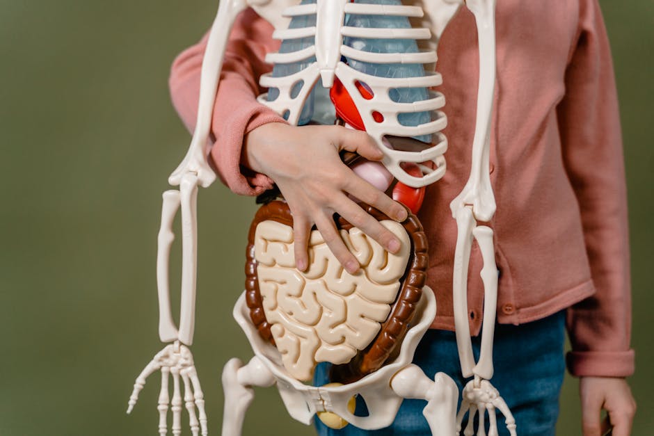 Internal Organ Damage: Delayed Symptom Dangers