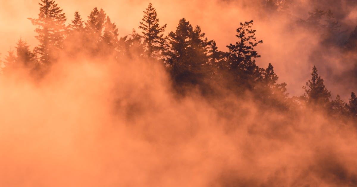 Navigating Legal Challenges After a Bicycle Accident: Finding the Right Lawyer to Defend Your Case